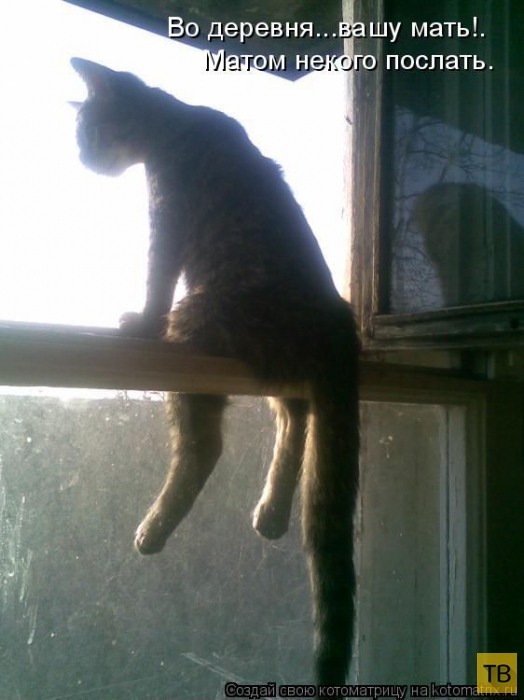 ������ ����������� ������, ����� 11 (50 ����)