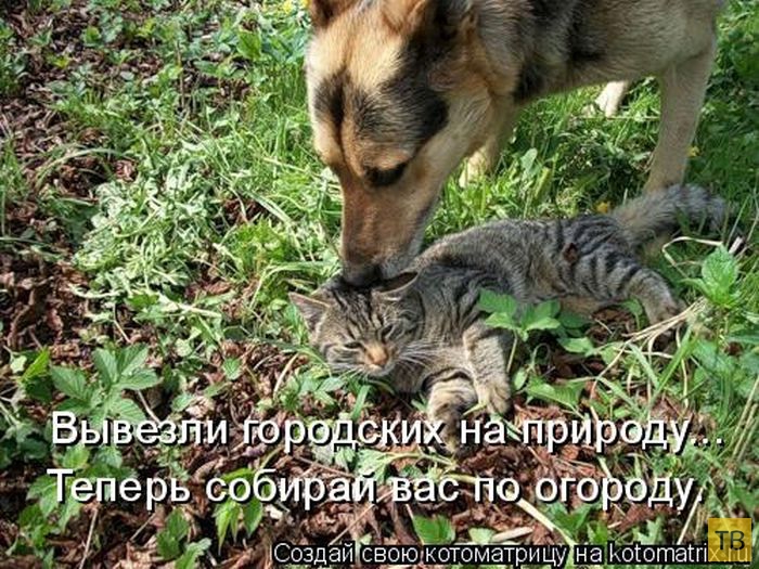 ������ ����������� ������, ����� 11 (50 ����)