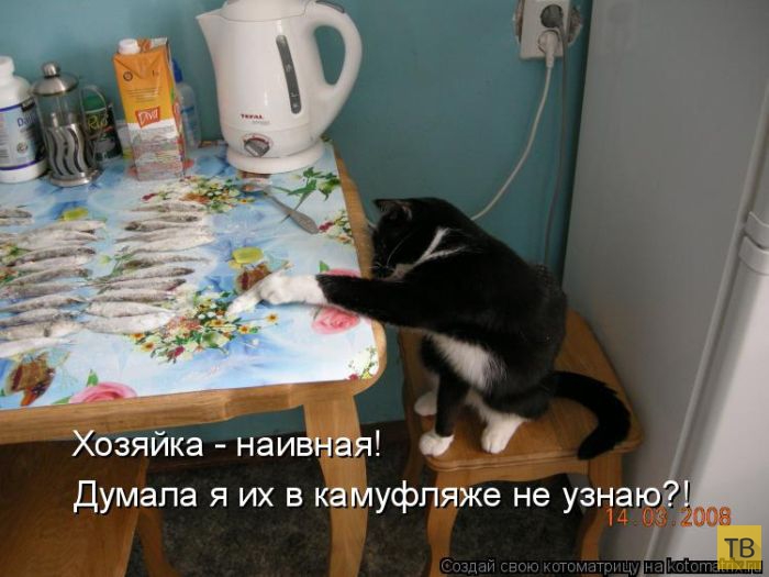 ������ ����������� ������, ����� 11 (50 ����)