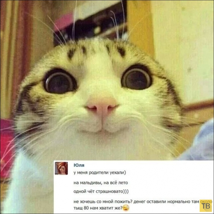 ���������� ����������� �� ���������� �����, ����� 195 (48 ����)