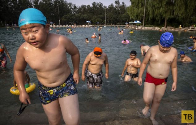 Воспитательный лагерь для толстых китайских мальчиков (8 фото)