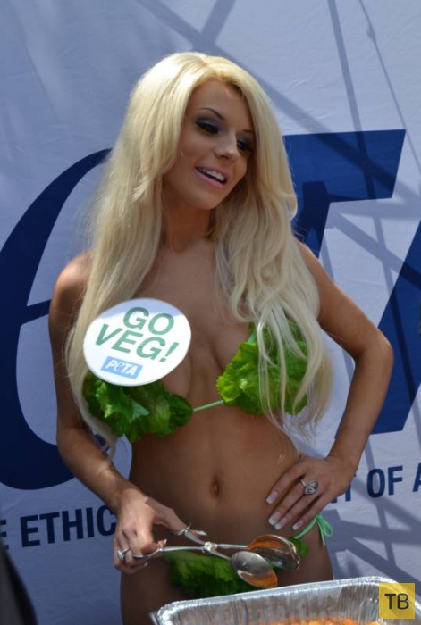 Кортни Стодден в бикини из салатных листьев агитирует за вегетарианство (16 фото)