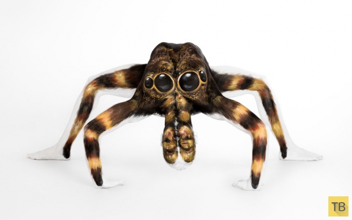 Гибкая модель превращается в тарантула (13 фото)