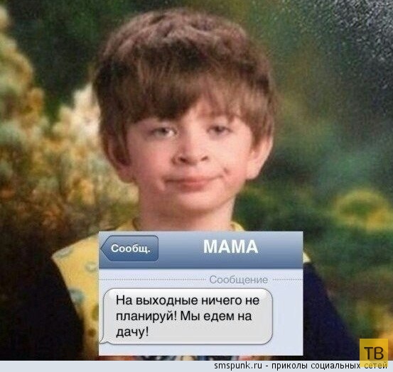 ���������� ����������� �� ���������� �����, ����� 197 (24 ����)