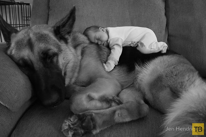 Маленькие дети и их большие собаки (22 фото)