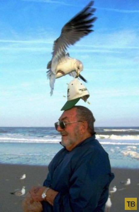 ������ ������� �� ����� (26 ����)