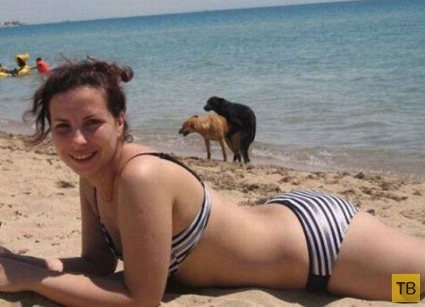 ������ ������� �� ����� (26 ����)