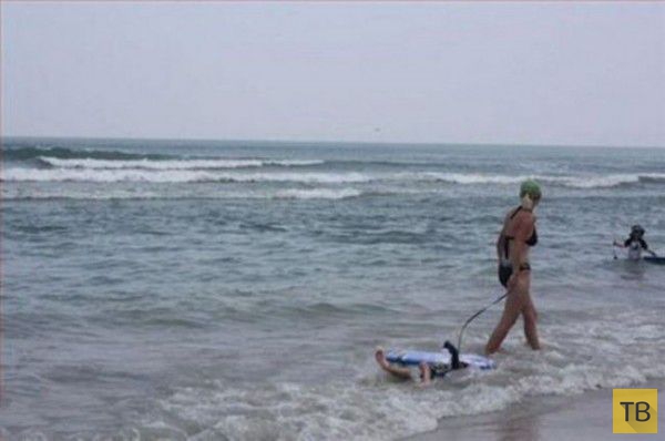 ������ ������� �� ����� (26 ����)