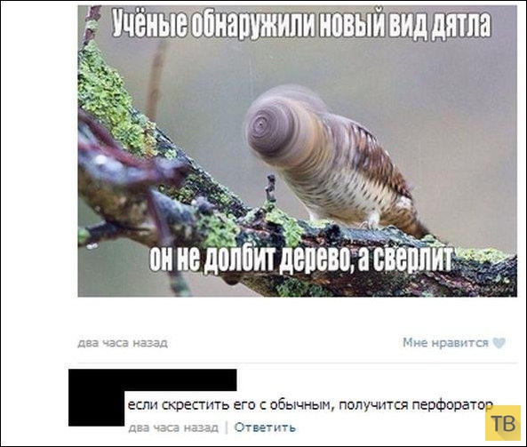 ���������� ����������� �� ���������� �����, ����� 198 (25 ����)