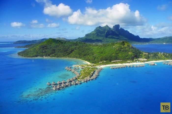 ������� ������ ����-���� (31 ����)