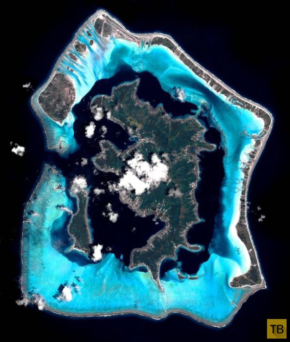 ������� ������ ����-���� (31 ����)