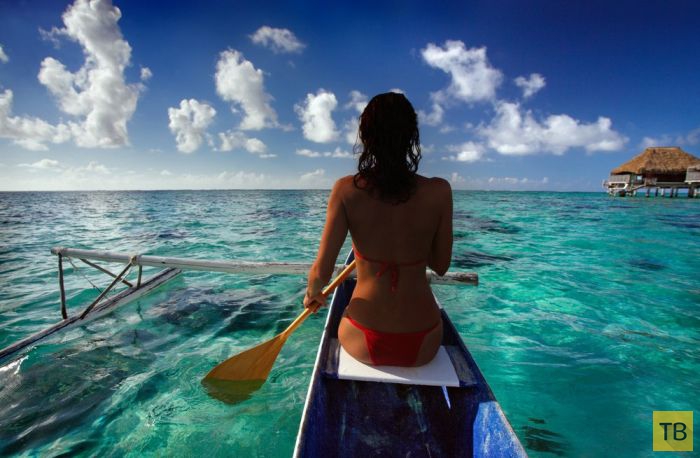 ������� ������ ����-���� (31 ����)