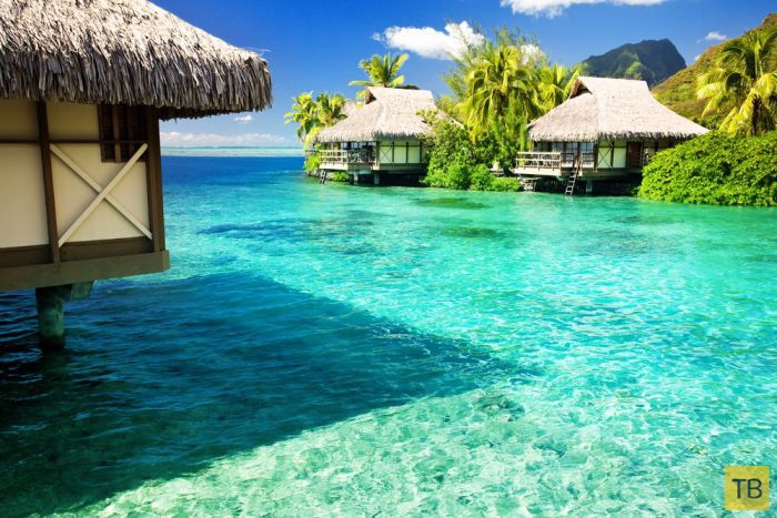 ������� ������ ����-���� (31 ����)