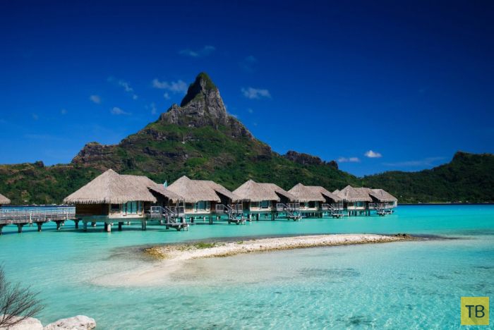 ������� ������ ����-���� (31 ����)