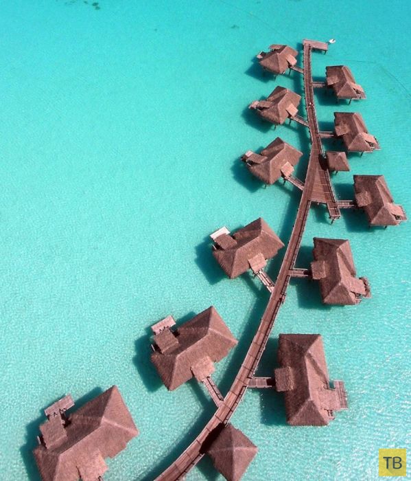 ������� ������ ����-���� (31 ����)