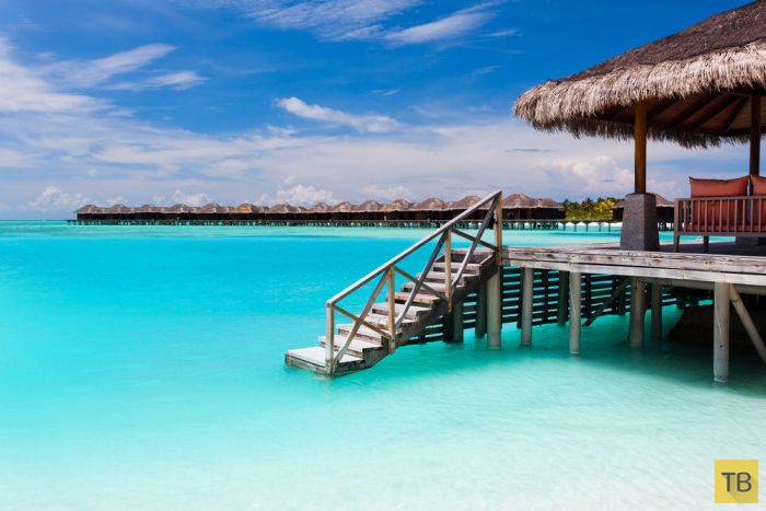 ������� ������ ����-���� (31 ����)