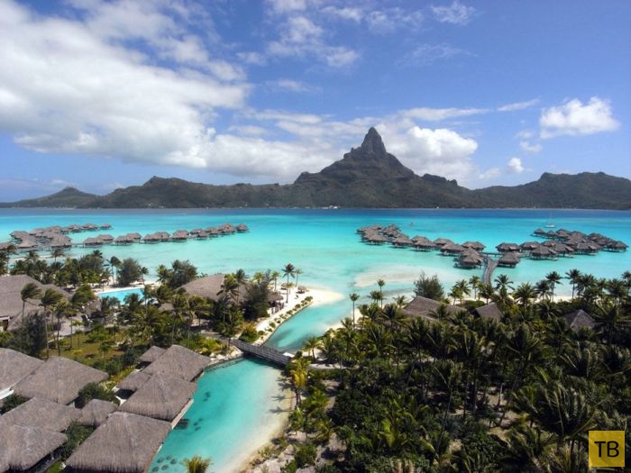 ������� ������ ����-���� (31 ����)