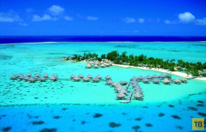 ������� ������ ����-���� (31 ����)