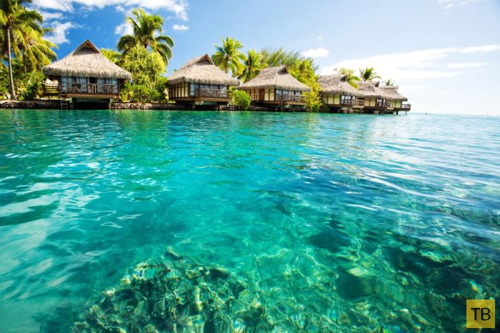 ������� ������ ����-���� (31 ����)