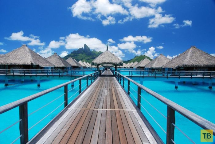 ������� ������ ����-���� (31 ����)