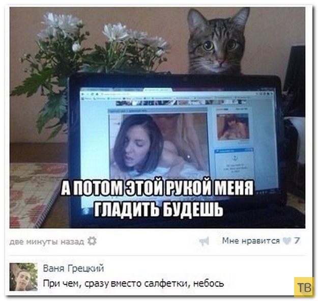 ���������� ����������� �� ���������� �����, ����� 199 (23 ����)