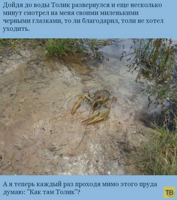 ����������� ����������� ������ (7 ����)