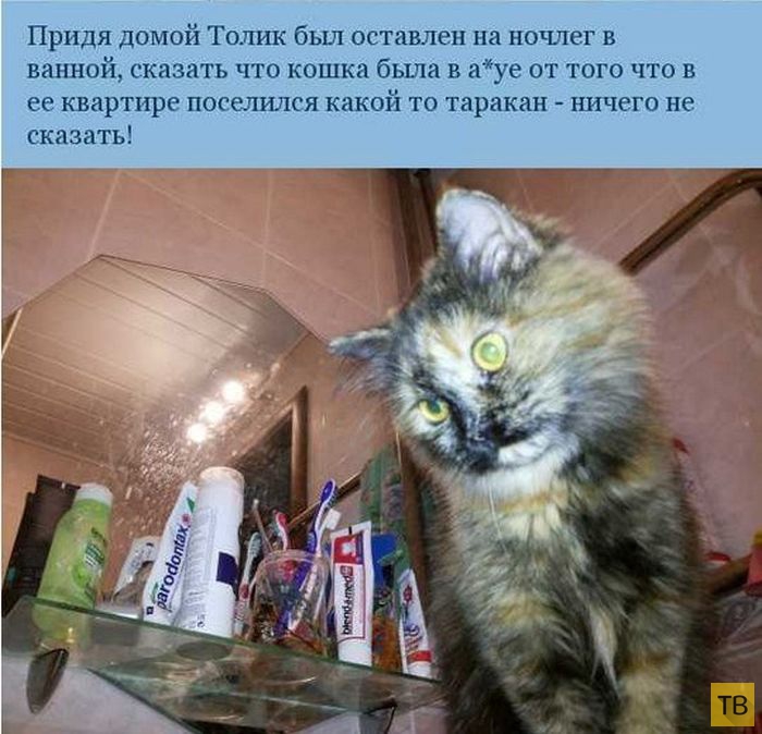 ����������� ����������� ������ (7 ����)