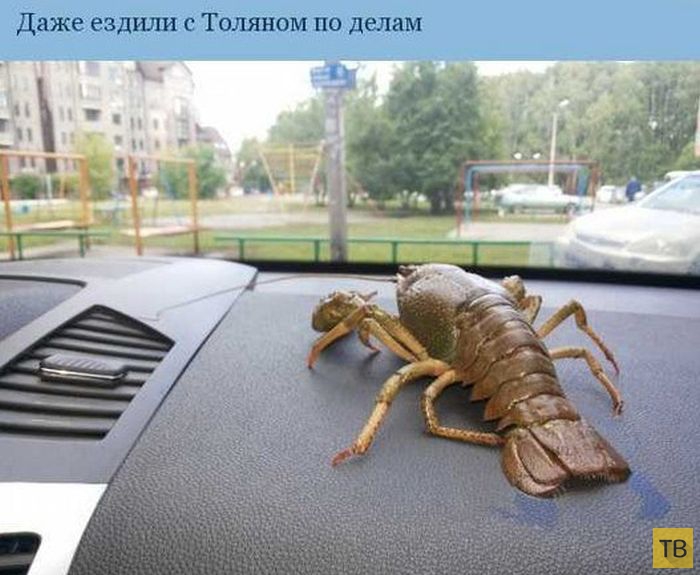 ����������� ����������� ������ (7 ����)