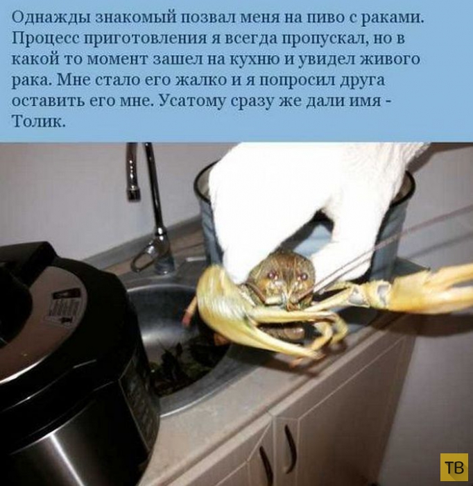 ����������� ����������� ������ (7 ����)