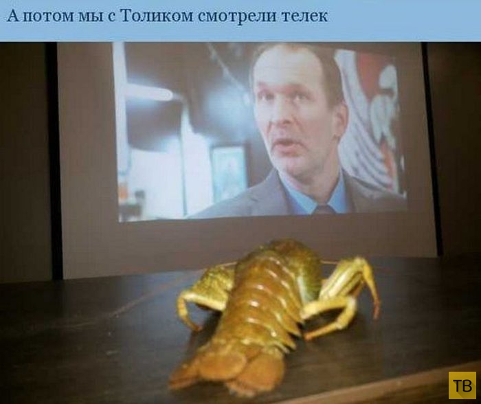 ����������� ����������� ������ (7 ����)