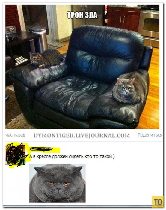 ���������� ����������� �� ���������� �����, ����� 200 (38 ����)