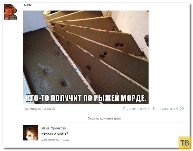 ���������� ����������� �� ���������� �����, ����� 200 (38 ����)