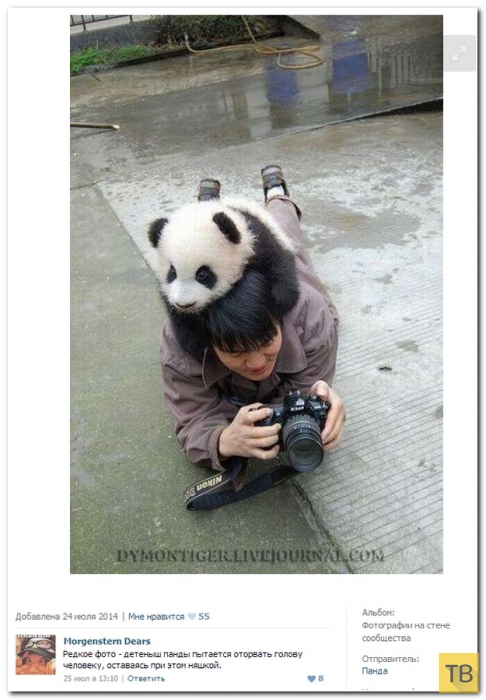 ���������� ����������� �� ���������� �����, ����� 200 (38 ����)