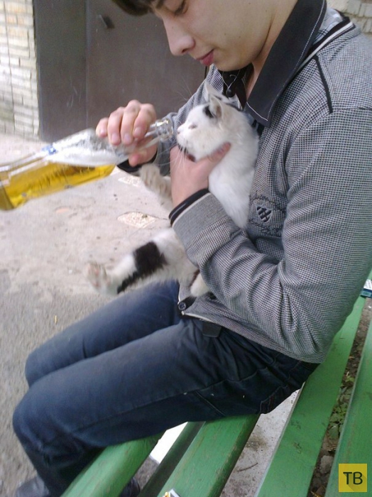 (18+) ��������� �������� ������ �� ���������� �����, ����� 13 (25 ����)