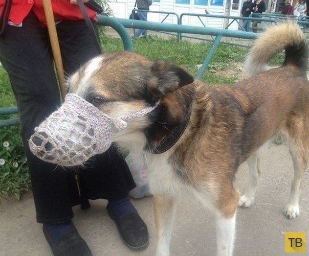 (18+) ��������� �������� ������ �� ���������� �����, ����� 13 (25 ����)