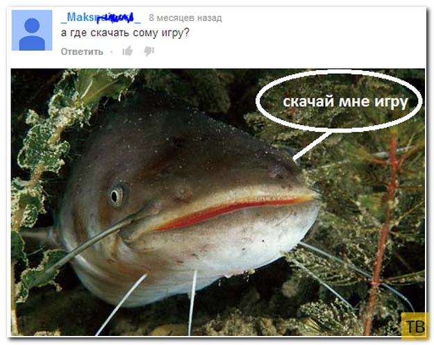 ���������� ����������� �� ���������� �����, ����� 201 (31 ����)