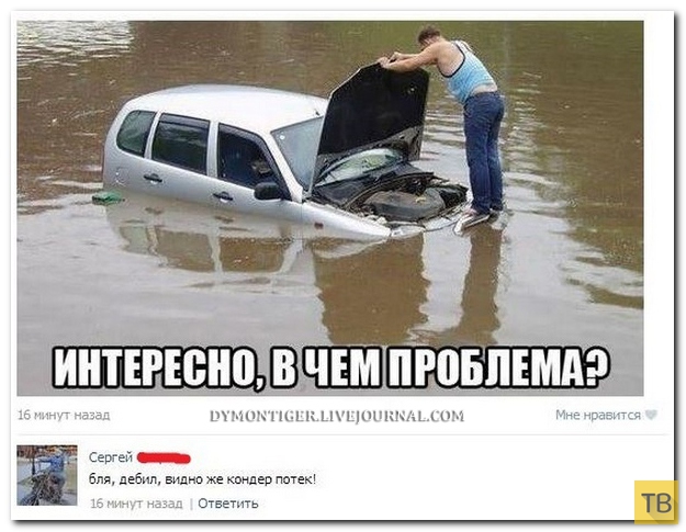 ���������� ����������� �� ���������� �����, ����� 201 (31 ����)