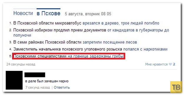 ���������� ����������� �� ���������� �����, ����� 201 (31 ����)