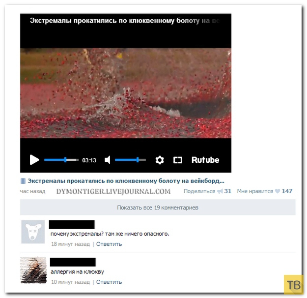 ���������� ����������� �� ���������� �����, ����� 201 (31 ����)