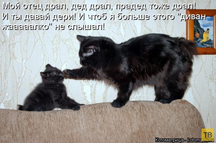 ������ ����������� ������ (49 ����)