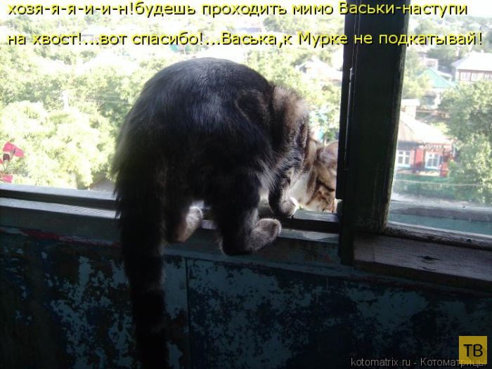 ������ ����������� ������ (49 ����)