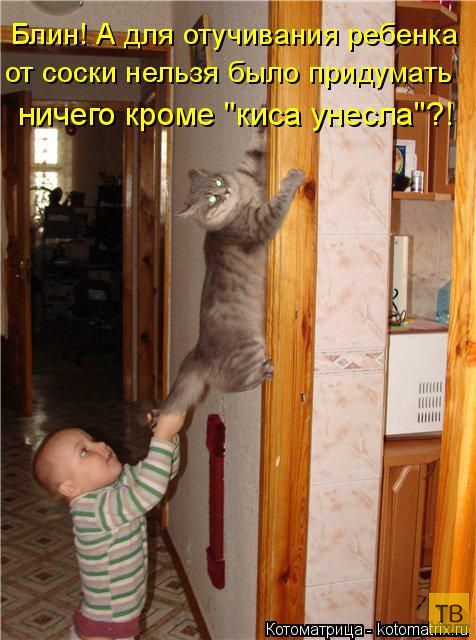 ������ ����������� ������ (49 ����)