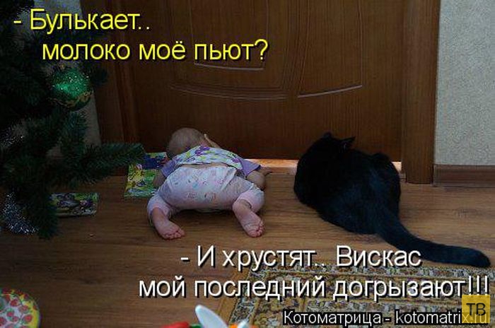 ������ ����������� ������ (49 ����)