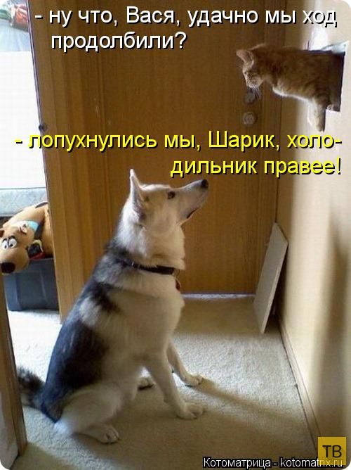 ������ ����������� ������ (49 ����)