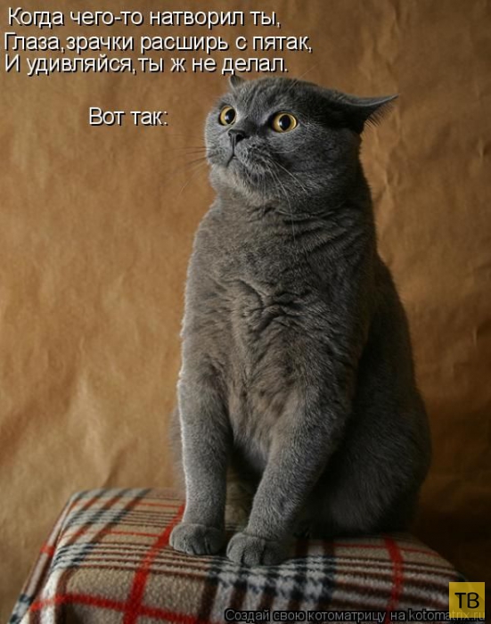 ������ ����������� ������ (49 ����)