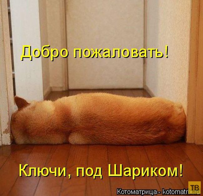 ������ ����������� ������ (49 ����)