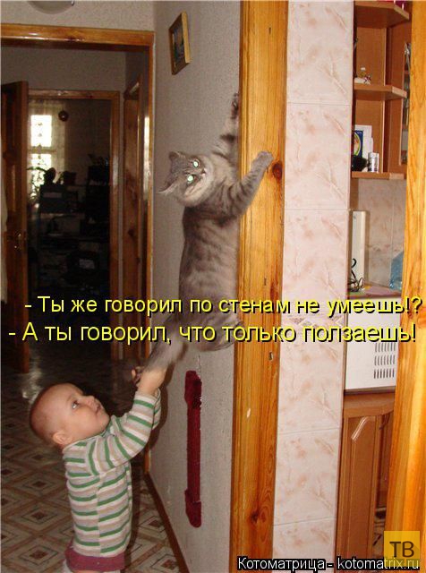 ������ ����������� ������ (49 ����)