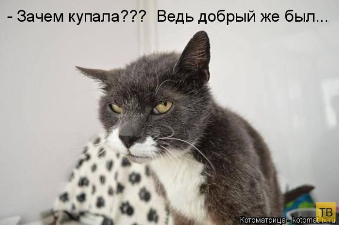 ������ ����������� ������ (49 ����)