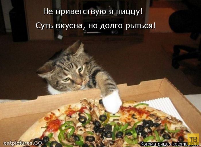 ������ ����������� ������ (49 ����)