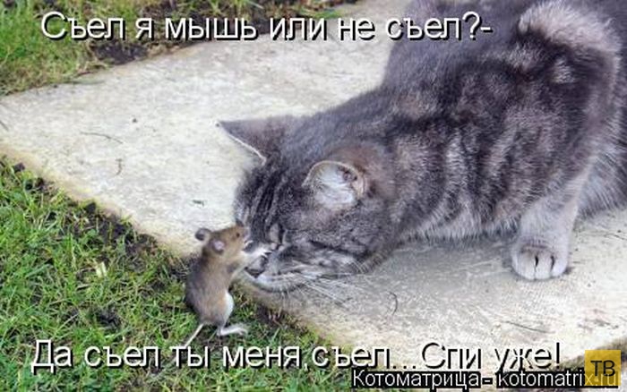 ������ ����������� ������ (49 ����)